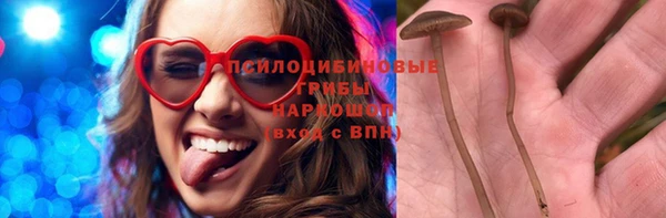 спиды Покачи