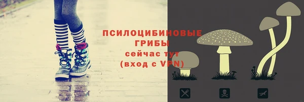 стафф Кострома