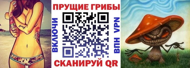 Галлюциногенные грибы Magic Shrooms  хочу наркоту  Мытищи 