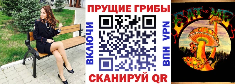 Галлюциногенные грибы Psilocybe Мытищи